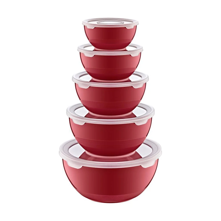 Smartware 5'li Set Loop Saklama Kabı CARMEN – Çok Amaçlı Saklama Kutusu, Buzdolabı Saklama Kabı, Mutfak Düzenleyici, Kapaklı Saklama Kabı