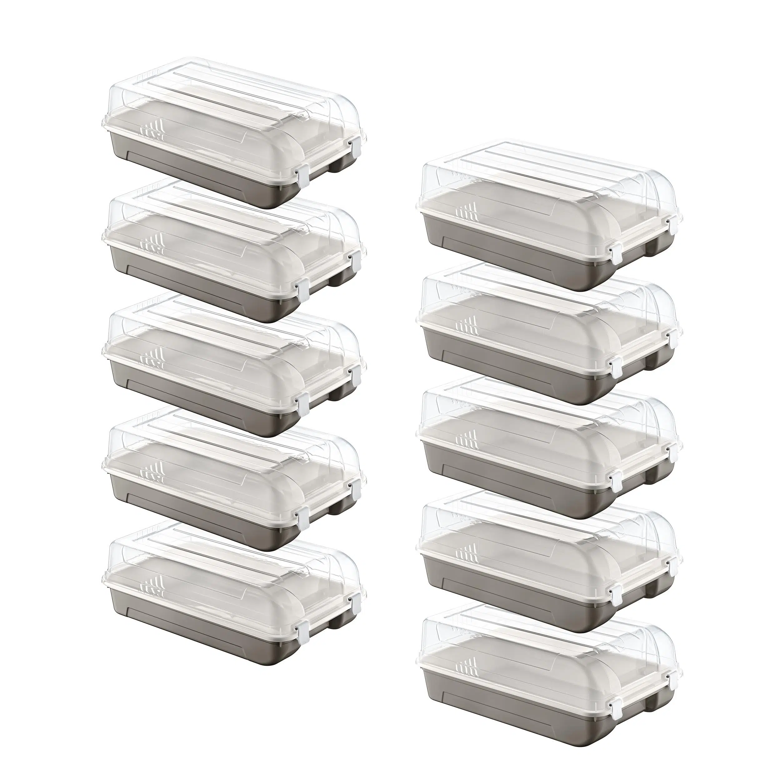 Smartware 10'Lu Set 5 Kadın & 5 Erkek Terra Ayakkabı Kutusu