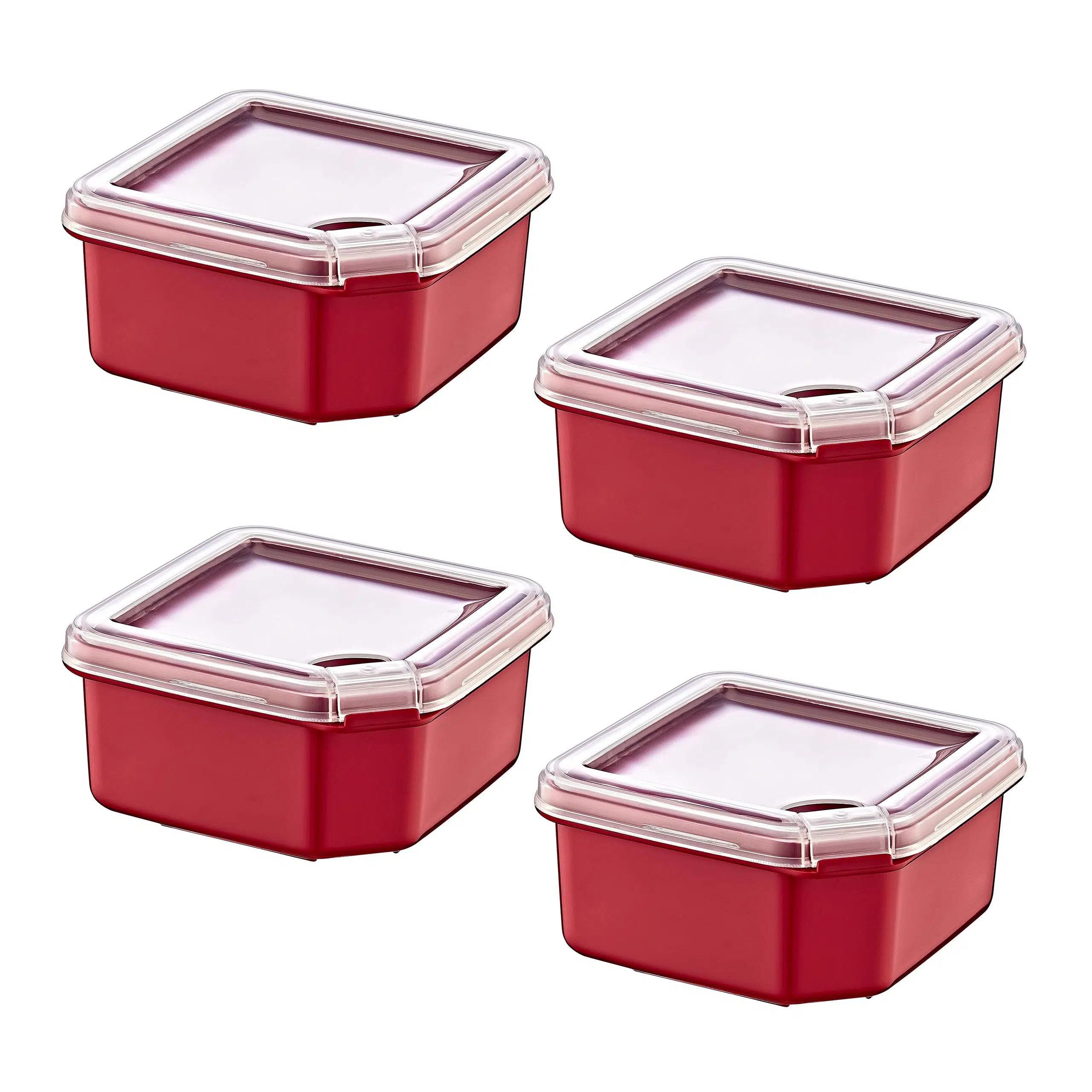 Smartware 4'Lü Q-Box Saklama Kabı Carmen 1000 ML