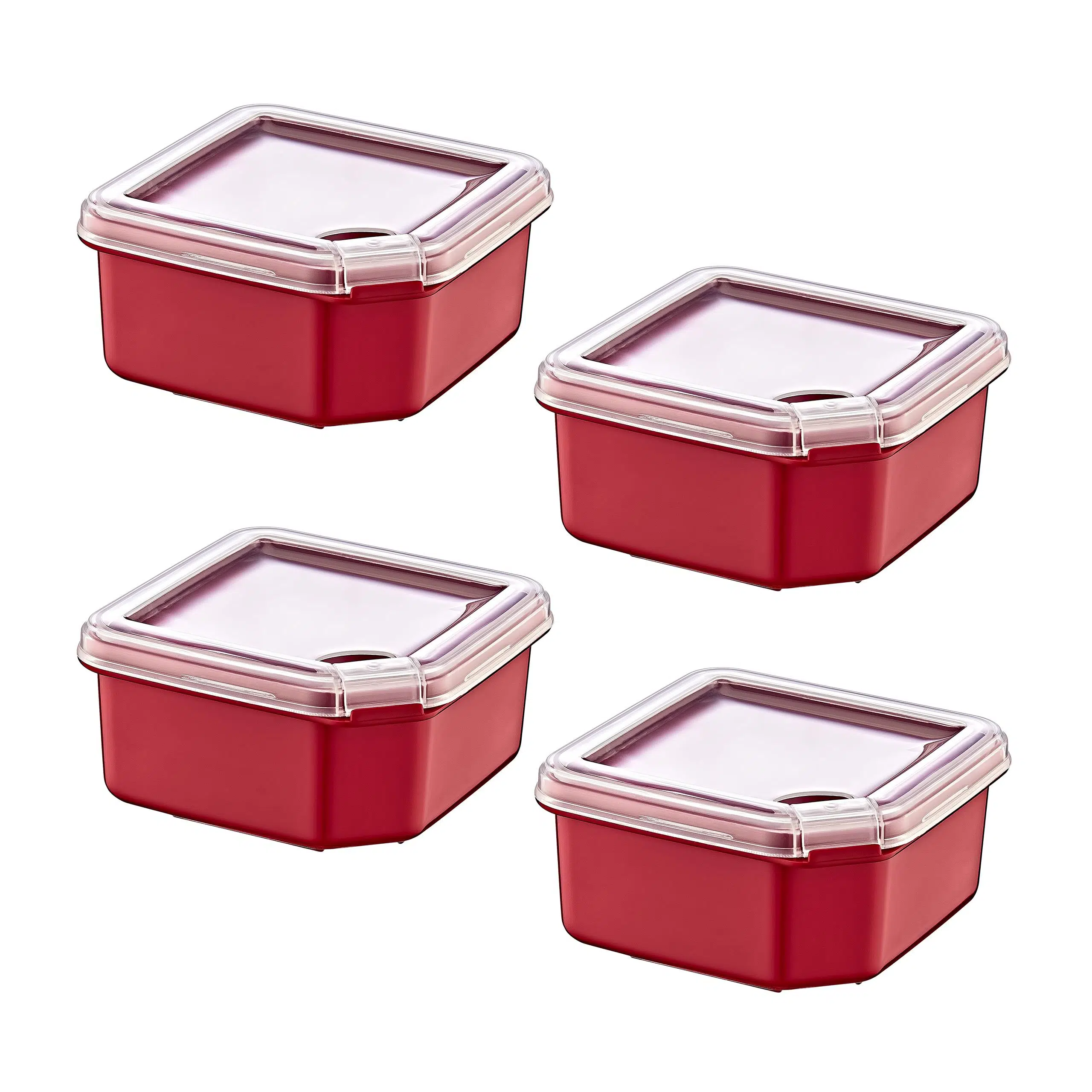 Smartware 4'Lü Q-Box Saklama Kabı Carmen 650 ML