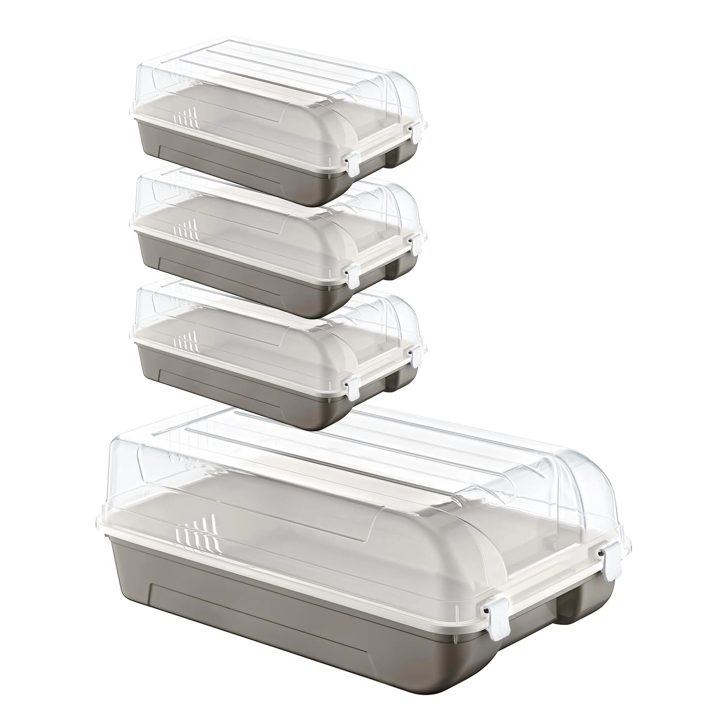 Smartware 4'Lü Set Erkek Terra Ayakkabı Kutusu 