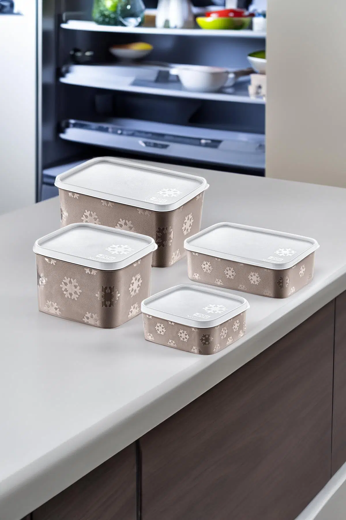 Smartware 4'Lü Set No Frost Saklama Kabı Terra (tüm boylar)