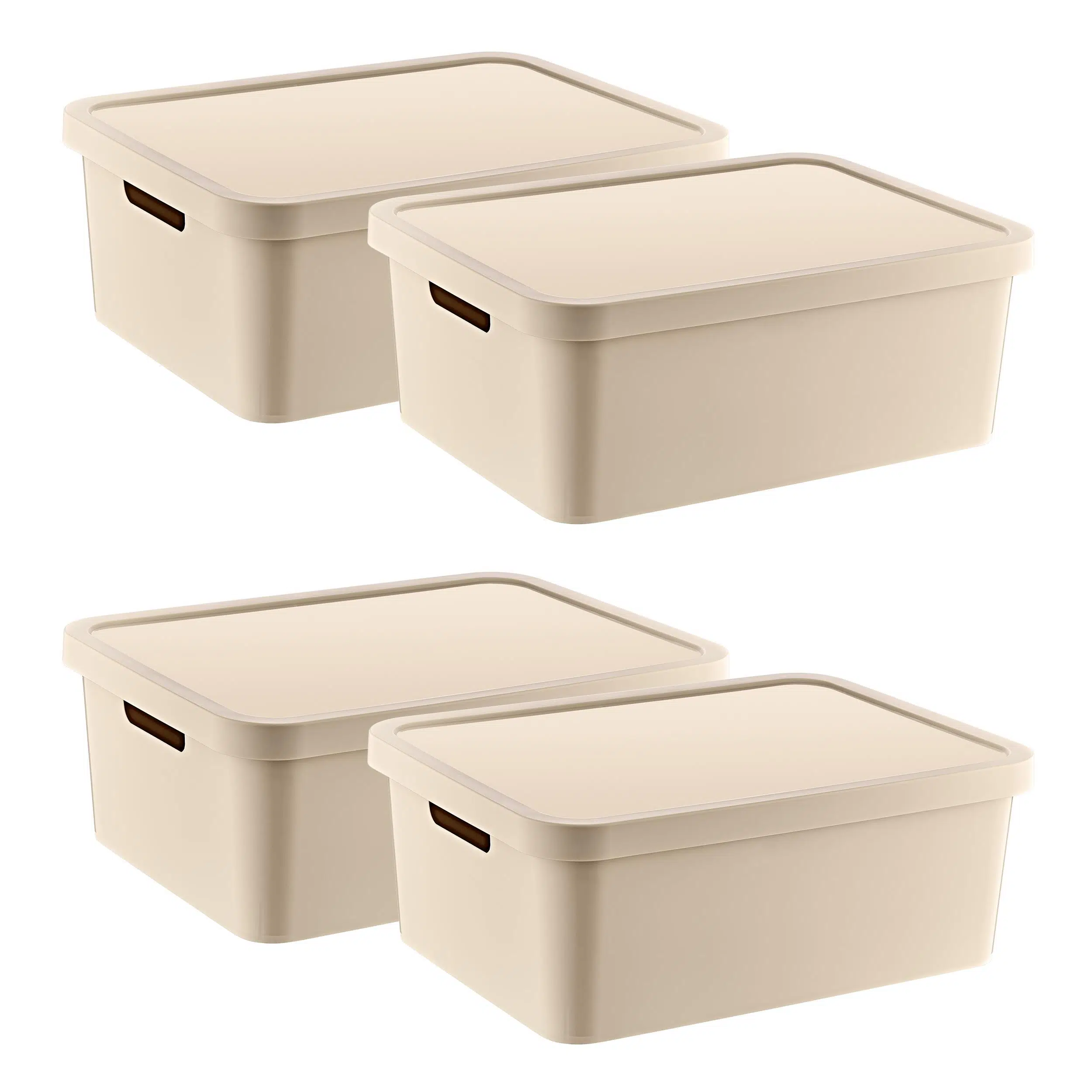 Smartware 4'Lü Set Stafi Çok Amaçlı Kapaklı Kutu Latte 12 LT