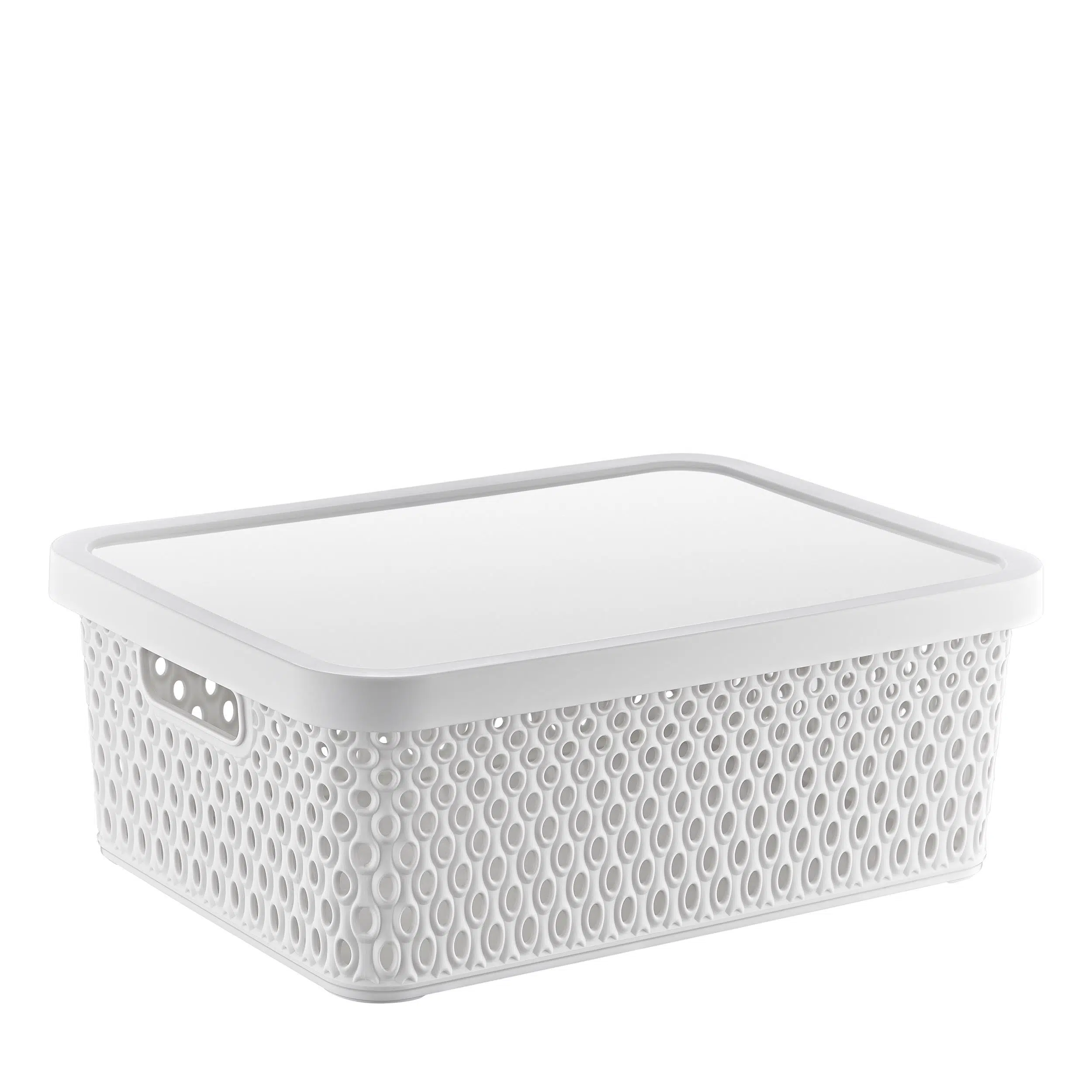 Smartware Katre Çok Amaçlı Kapaklı Kutu 12 LT 