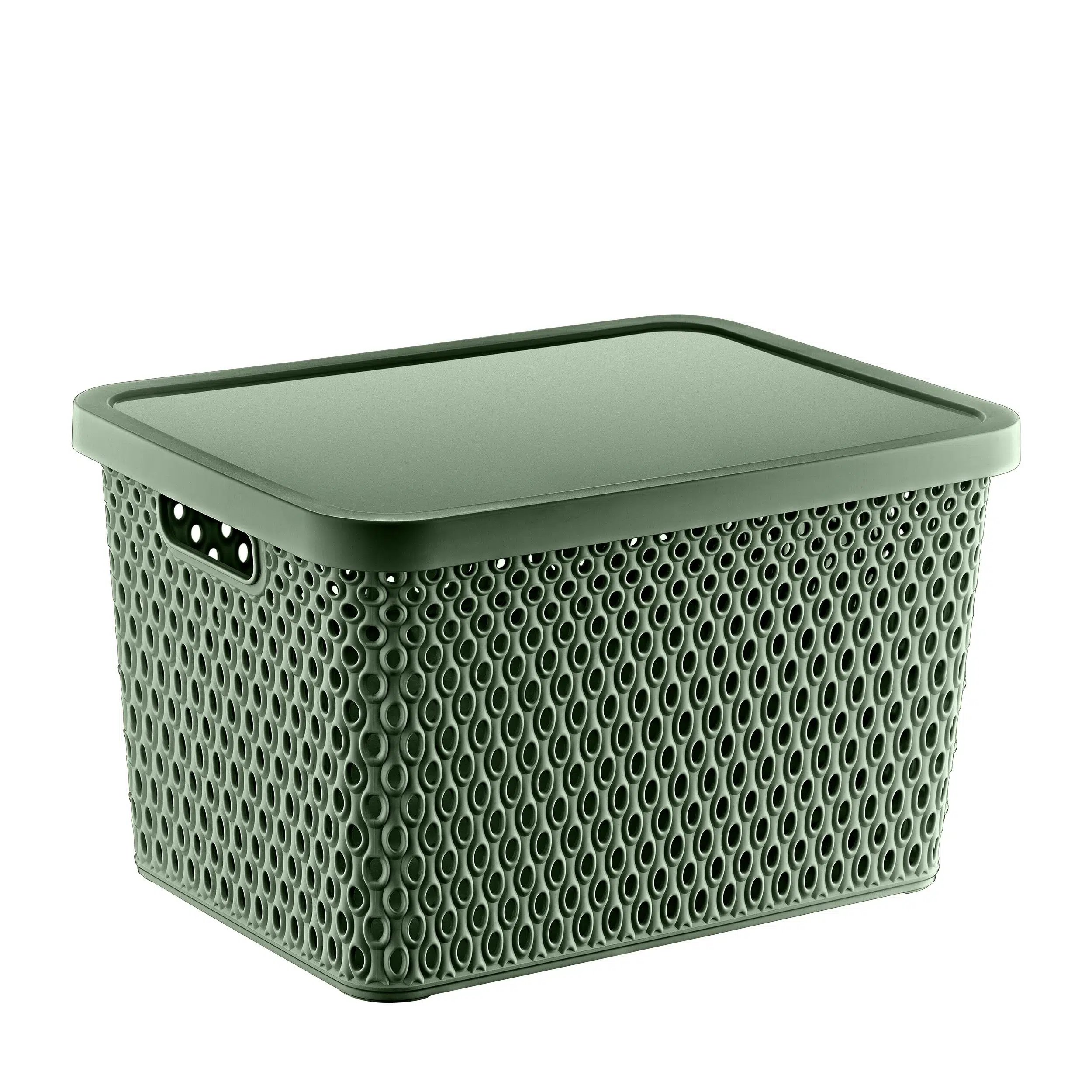 Smartware Katre Çok Amaçlı Kapaklı Kutu 18 LT - YEŞİL