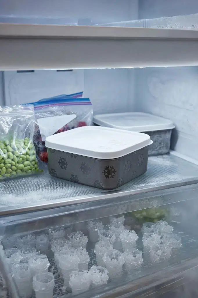 Smartware No Frost Saklama Kabı 700 ML 