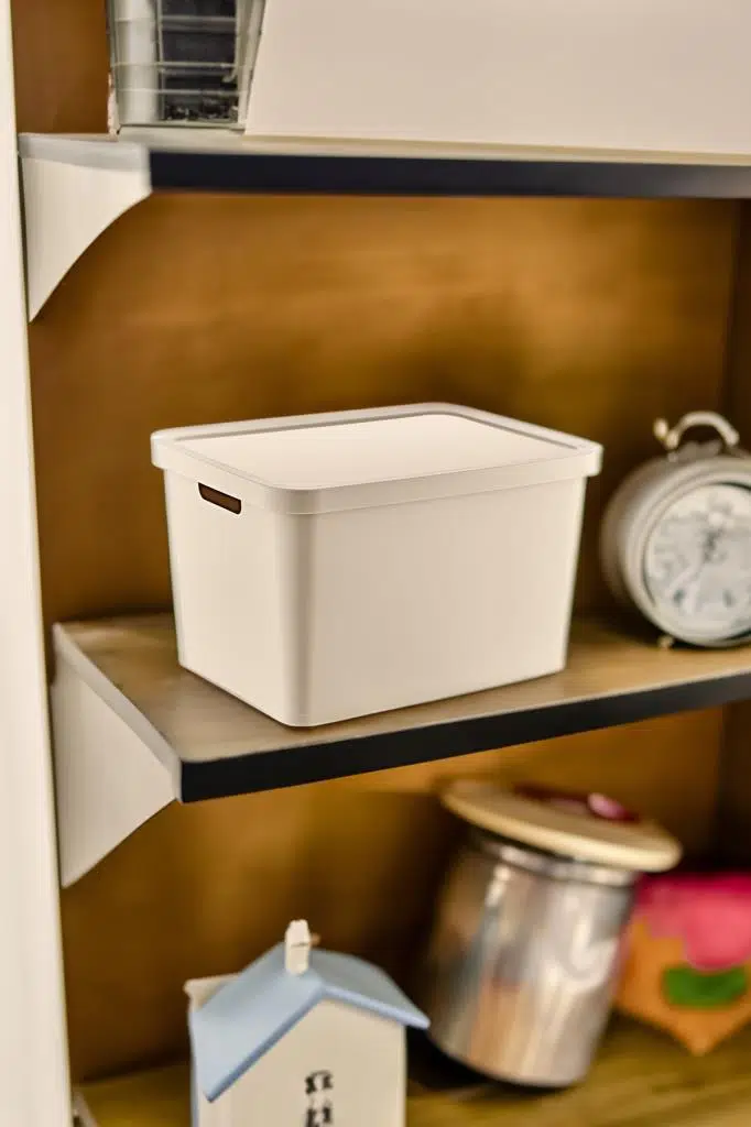 Smartware Stafi Çok Amaçlı Kapaklı Kutu 18 LT - LATTE