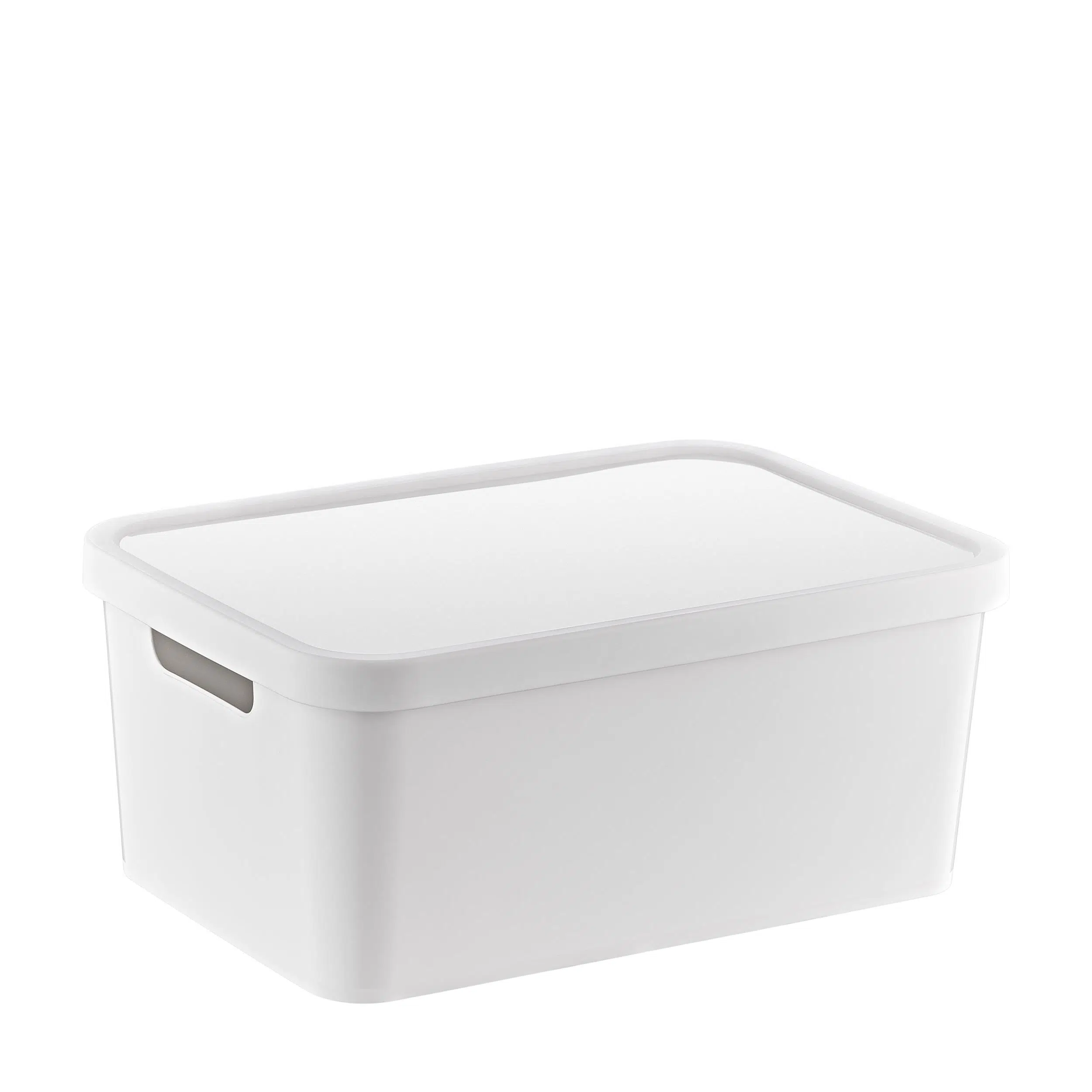 Smartware Stafi Çok Amaçlı Kapaklı Kutu 4,5 LT 