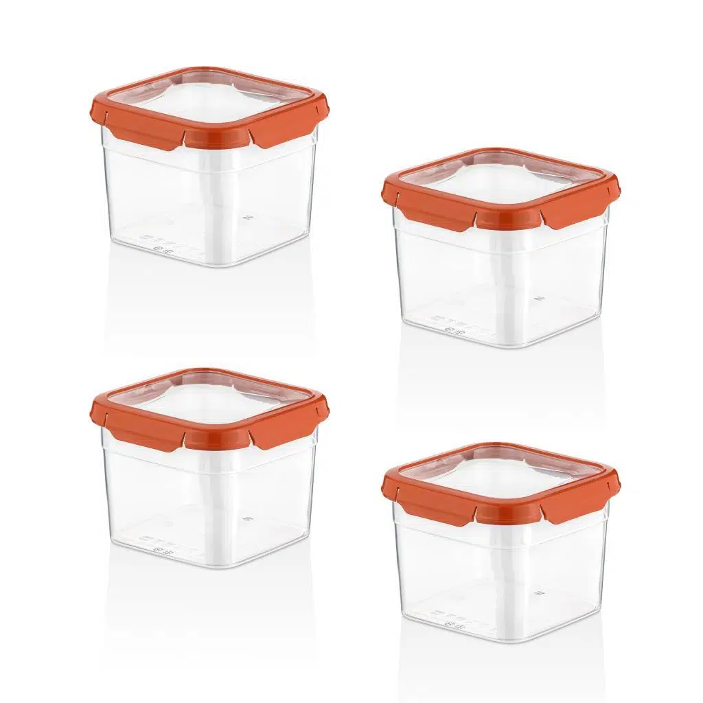 Smatware 4'Lü Set Loxo Sızdırmaz Saklama Kabı 1000 ML